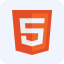 HTML5