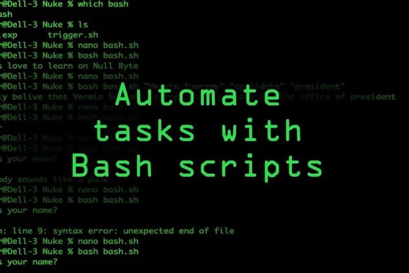 bash-best-programming-languages-2025