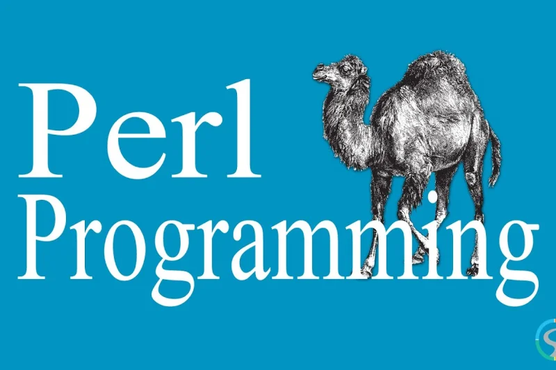 perl-excels-in-robust-text-processing-best-programming-language